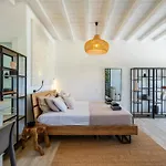 Silvair Jacuzzi Suites, Mykonos Σπίτι διακοπών Mykonos Town
